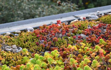 the cost of Bracadale green roof installation