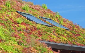 Bracadale living roof systems