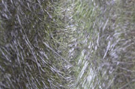 Bracadale fibreglass roof work